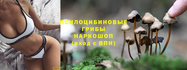 дурь Армянск