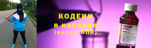 гидра Арсеньев