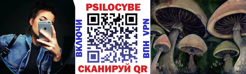 хочу   Таштагол  блэк спрут ссылки  Галлюциногенные грибы мицелий 